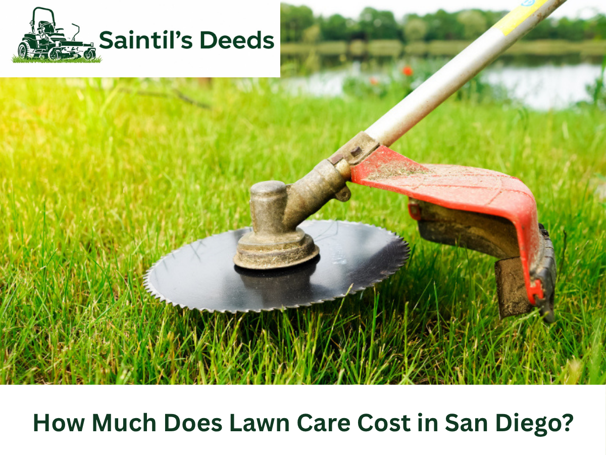 lawn care cost San Diego