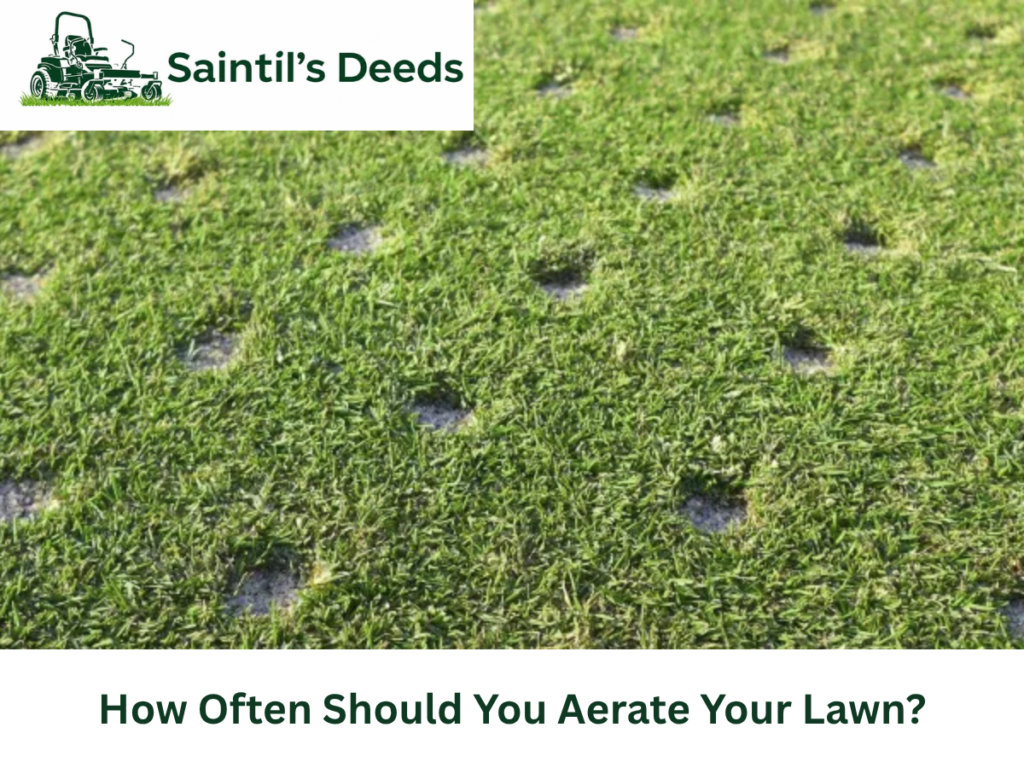 Lawn Aeration and Tree Care