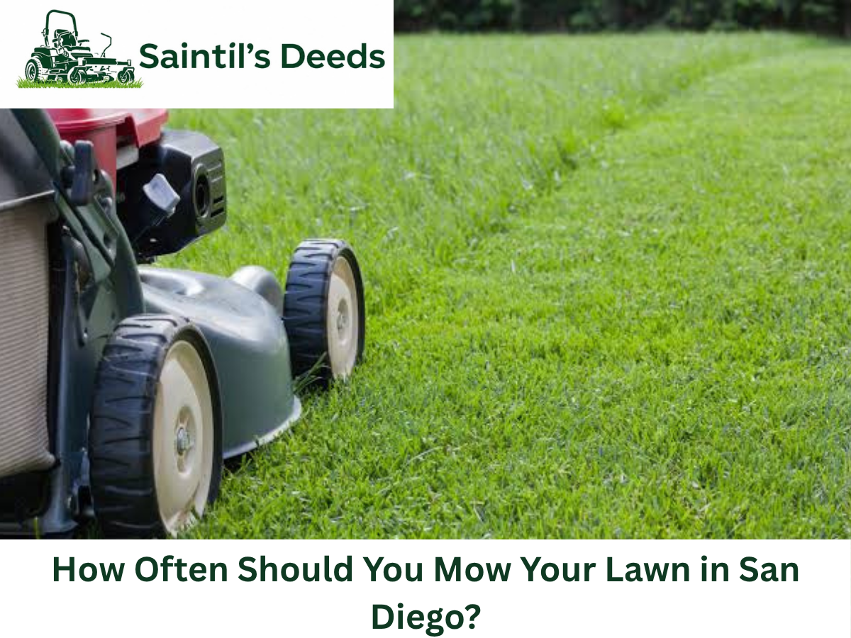 lawn mowing San Diego