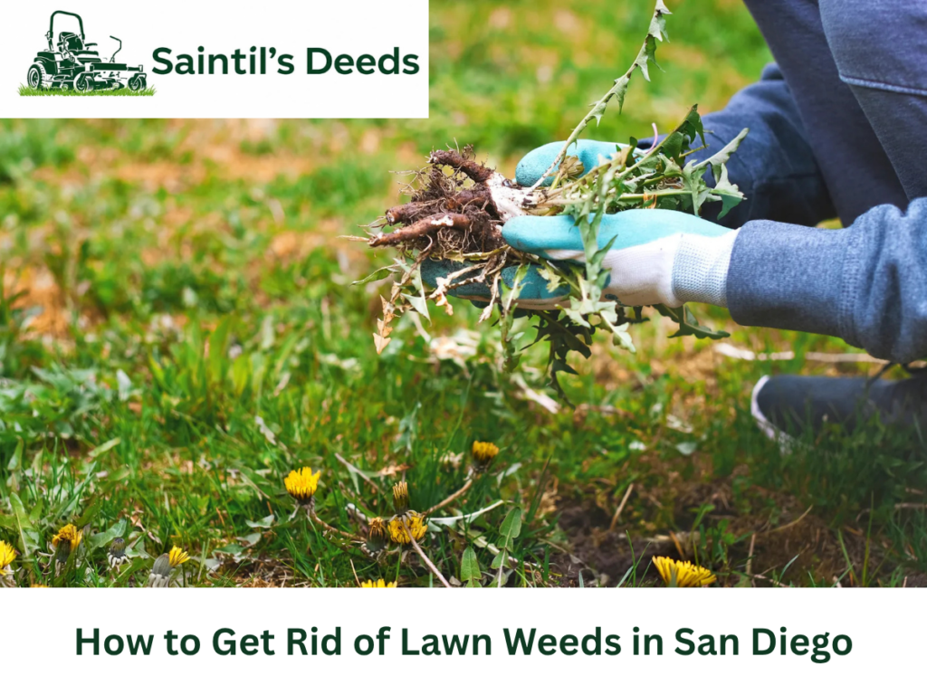 weed control San Diego
